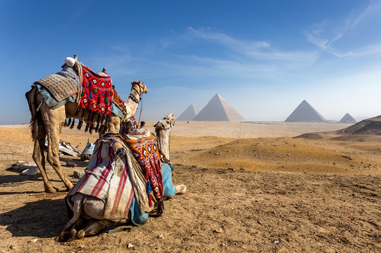 Piramides van Gizeh - Caïro - Egypte